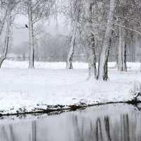 Предзимье. :: Михаил Белоусов