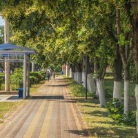 Когда цвела липа :: Игорь Сикорский Когда цвела липа :: Игорь Сикорский