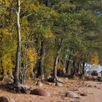 *** :: Сергей  Могутов 