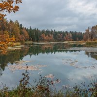 Абрамцево р.Воря. :: Николай 