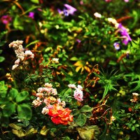 Осень :: Юрий Гайворонскiий