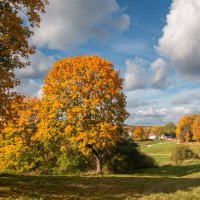 *** :: Геннадий Порохов