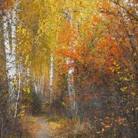 октябрь в берёзовой аллее :: Елена Шаламова октябрь в берёзовой аллее :: Елена Шаламова