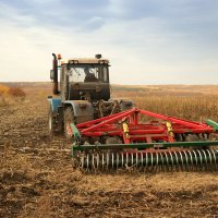 С Днём работника сельского хозяйства! :: Андрей Заломленков
