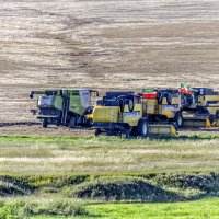 Стан :: Андрей Щетинин