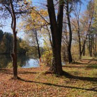 Прогулка :: Наталия Григорьева