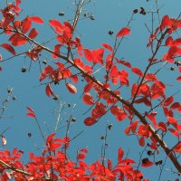 Контрасты :: Натали Контрасты :: Натали