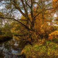 Осеннее утро 2 :: Андрей Дворников