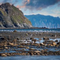 /// :: Константин Есипов