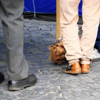 Вот это наши ШУЗЫ ) :: Виктор Никитенко