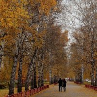 Осень :: Венера Чуйкова