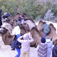 Где мой. :: Виктор 