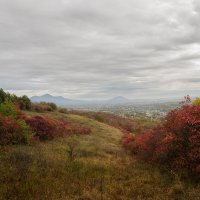 *** :: Геннадий Чеботарев