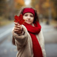 Цвет бордово-красный :: Лилия . Цвет бордово-красный :: Лилия .