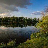Пейзаж с кустом... :: Николай Гирш