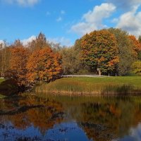 Тёплые фрагменты осени .. :: Татьян@ Ивановна