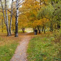 Прогулка в октябре :: Александр Синдерёв