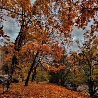 ***** :: Алексей Архипов