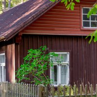 Tallinn, Fotograaf Arkadi Baranov, FEP, Estonia :: Аркадий  Баранов Arkadi Baranov