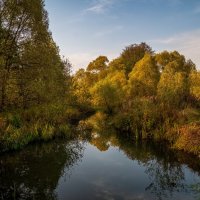 Осеннее утро 3 :: Андрей Дворников