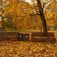 Коломенское. Последний день Бабьего лета. :: Лютый Дровосек Коломенское. Последний день Бабьего лета. :: Лютый Дровосек