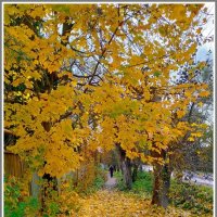 Листопад, день второй. :: Владимир Попов