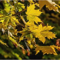 Сентябрь... :: Aquarius - Сергей