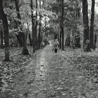 Шлиссельбург. Октябрь :: Наталья Герасимова Шлиссельбург. Октябрь :: Наталья Герасимова