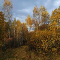 Зрелая осень :: Андрей Лукьянов Зрелая осень :: Андрей Лукьянов