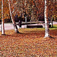 Октябрь....Осенний бульвар! :: Владимир Октябрь....Осенний бульвар! :: Владимир