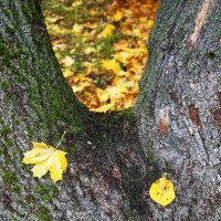 Двое :: Лариса Корж