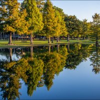 Парк Берроуз :: **** vedin