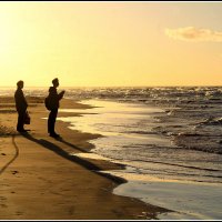 *** :: Aleksandr Gal