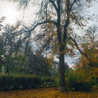 Мой город - ОСЕНЬ улица Советская 21 :: Владимир Максимов