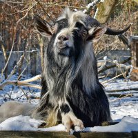 Забери меня с собой :: Alexandеr P