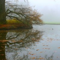 В тумане :: Юрий. Шмаков