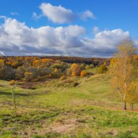 Октябрь в Царицыно... :: Владимир Жданов Октябрь в Царицыно... :: Владимир Жданов