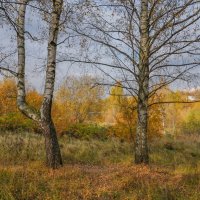 Палитра октября... :: Владимир Жданов Палитра октября... :: Владимир Жданов