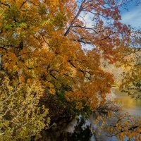 *** :: Геннадий Порохов