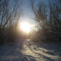 Зима :: Anna Ivanova