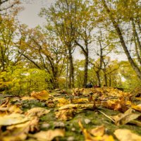 Осенние тропинки Железноводска :: Игорь 