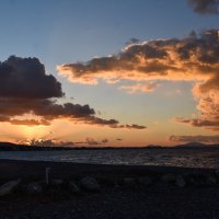 Плыл по небу крокодил... :: Лара Leila Плыл по небу крокодил... :: Лара Leila