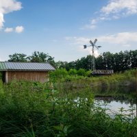 *** :: Николай Гирш *** :: Николай Гирш