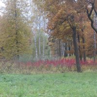 Осенние краски :: Людмила 