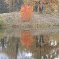 "Какая царская нынче осень в Царском Селе!" :: Людмила 