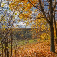Октябрь в Царицыно... :: Владимир Жданов