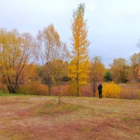 Осень в Самаре :: Надежда 