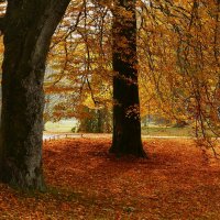 Лихтенталер аллее :: Юрий. Шмаков