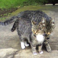 С мамой :: Наталья С мамой :: Наталья