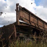 Бортануло :: sorovey Sol